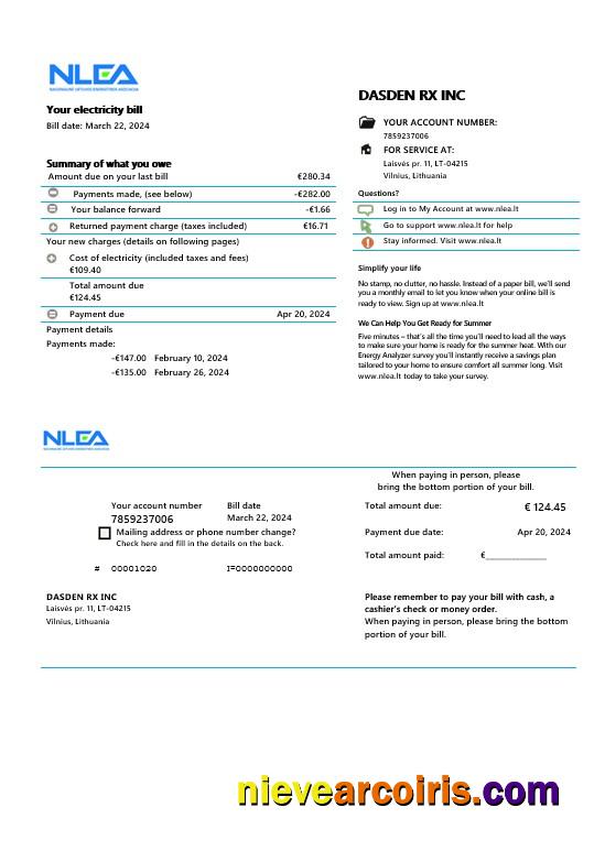 Lithuania National Lithuanian Energy Association business utility bill